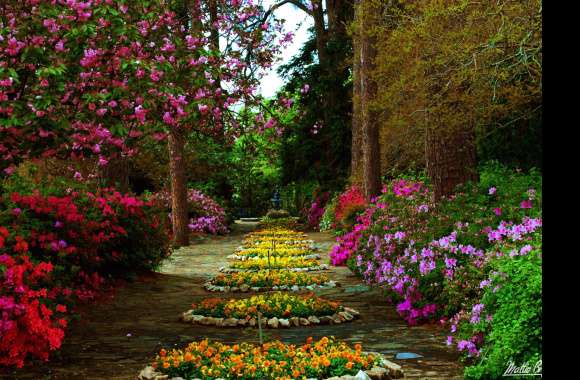 Enchanted Flower Garden