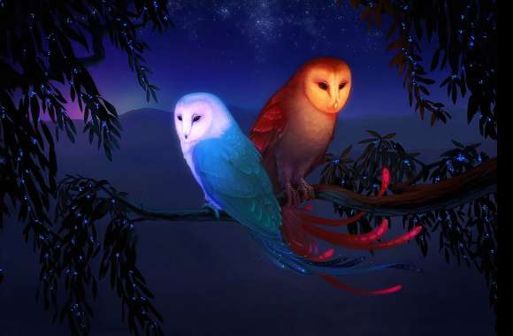 Enchanted Owls