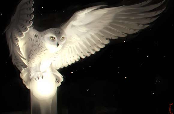 Enchanting Snowy Owl Fantasy