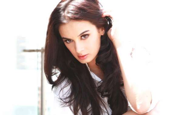 Evelyn Sharma Stunning of a Celebrity Icon