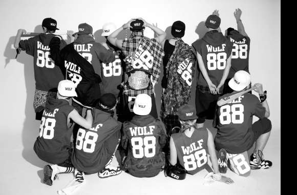 EXO Wolf Pack