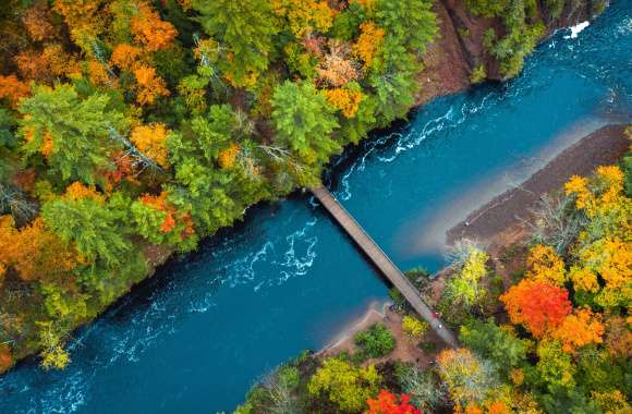 Fall Aerial Nature River