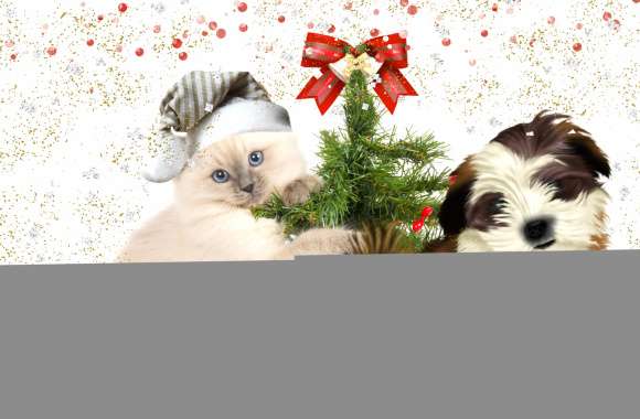 Festive Cat and Dog HD Christmas Wallpaper wallpapers hd quality