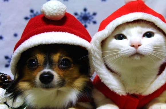Festive Furry Friends wallpapers hd quality