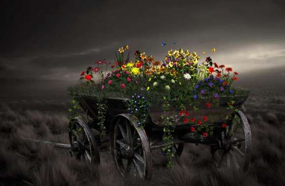Field Wagon Butterfly Colorful Artistic Flower
