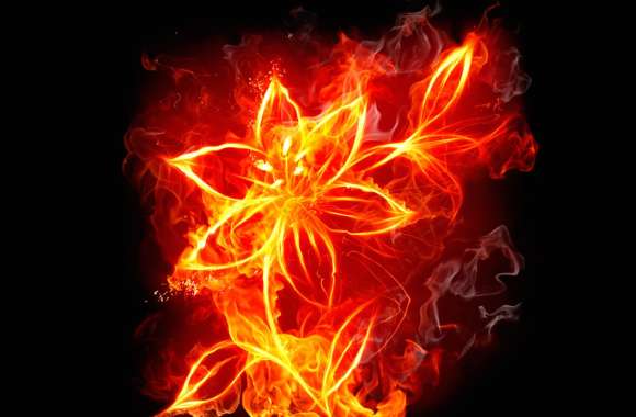 Fiery Blossom