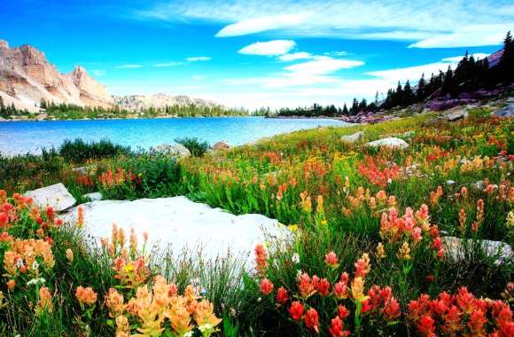 Floral Lakeside Mountain - HD Nature Wallpaper wallpapers hd quality