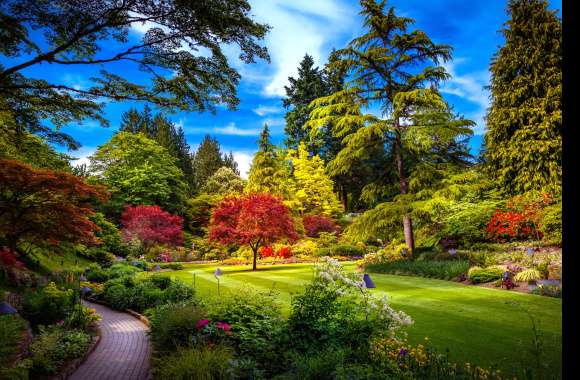 Flower Garden Tree Blossom Spring Photography Park