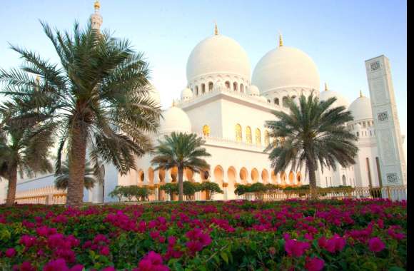 Flower Palm Tree Abu Dhabi Religious Sheikh Zayed Grand Mosque