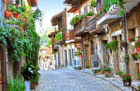 Flower Tree Cobblestone House Man Made Street