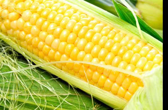 Food Corn