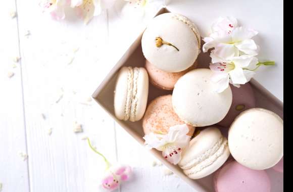 Food Macaron wallpapers hd quality