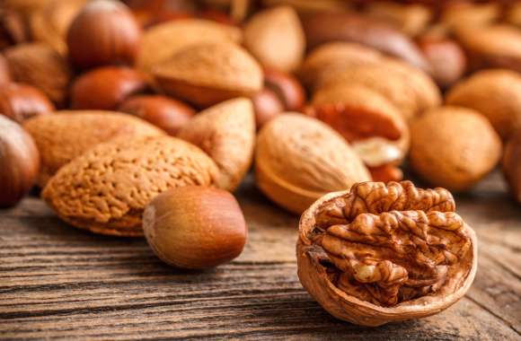 Food Nut wallpapers hd quality