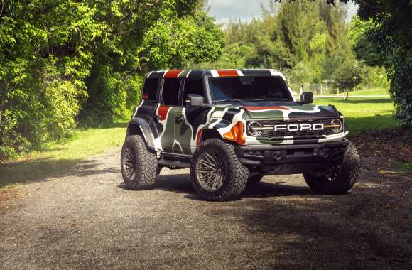 Ford Bronco Raptor Aesthetic