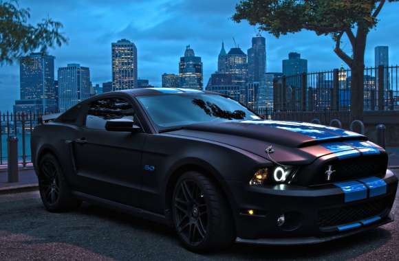 Ford Mustang - Sleek Black Beauty