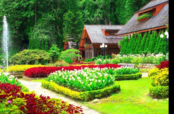 Fountain Colors Colorful Tree Flower House Man Made Garden