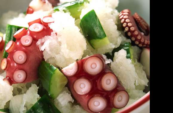 Fresh Fish Delicacies with Octopus and Cucumber wallpapers hd quality