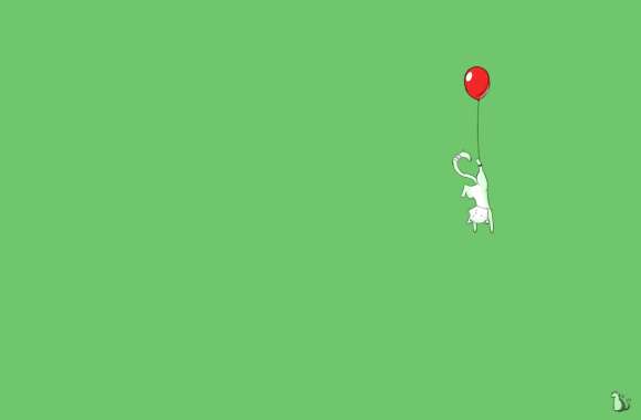 Funny Cat Balloon Adventure