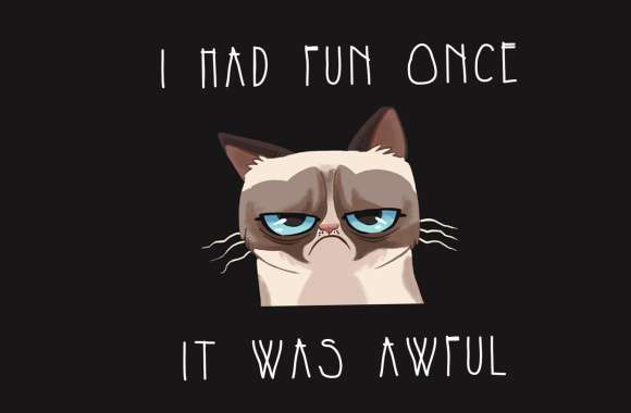 Funny Grumpy Cat wallpapers hd quality