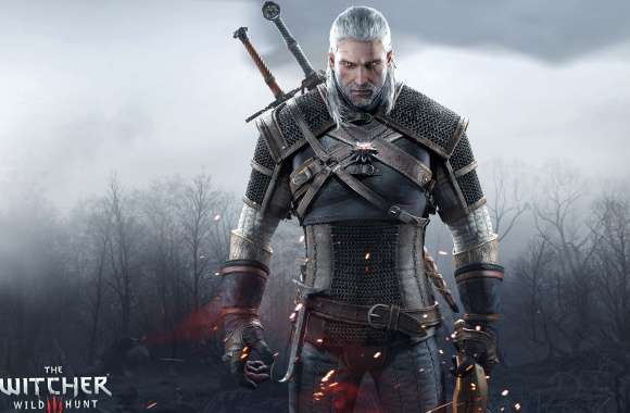 Geralt of Rivia 8K Ultra HD Witcher 3 Wallpaper wallpapers hd quality