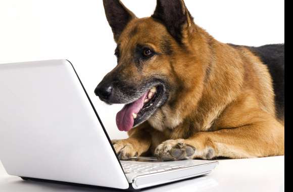German Shepherd Tech - wallpapers hd quality