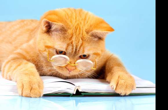 Glasses Book Humor Animal Cat