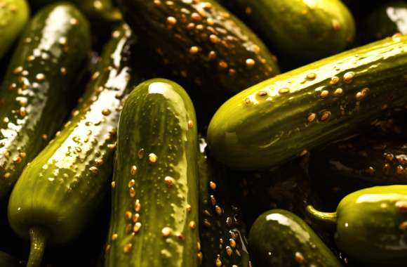 Glistening Pickles - Fresh Desktop Background