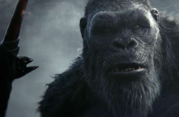 Godzilla vs Kong The New Empire Titan Showdown