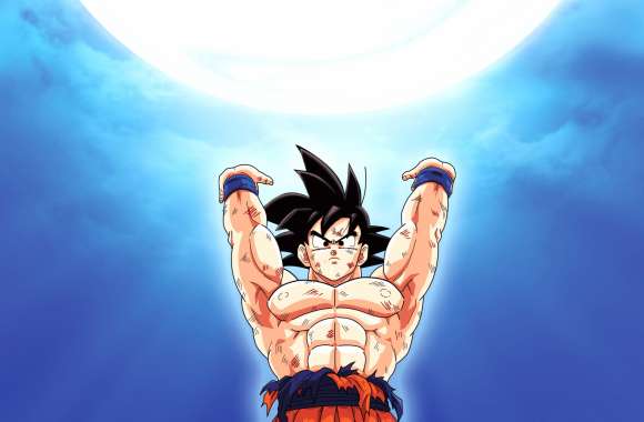 Goku Spirit Bomb - Dragon Ball Z