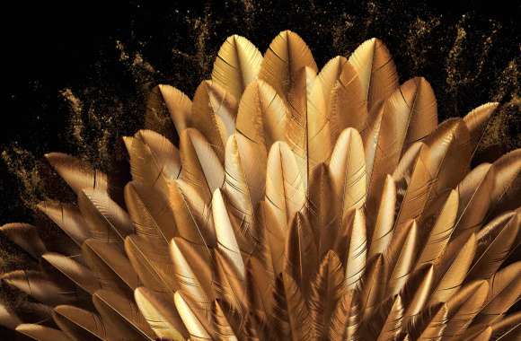 Golden Peacock feathers