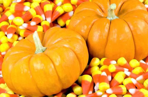 Gourd Food Candy Corn