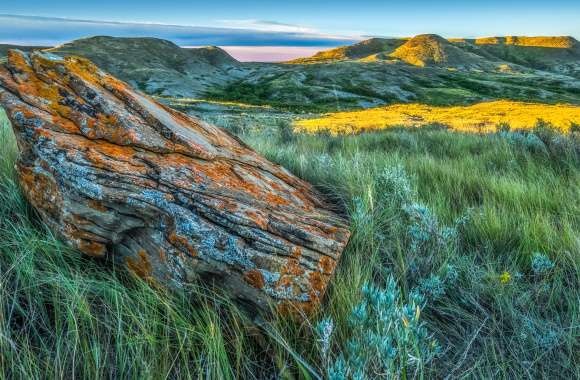 Grasslands National Park Nature Landscape