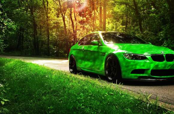 Green BMW on Scenic Drive wallpapers hd quality