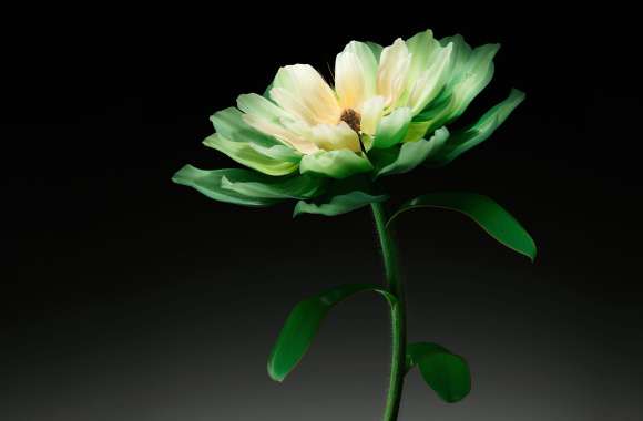 Green flower Dark background