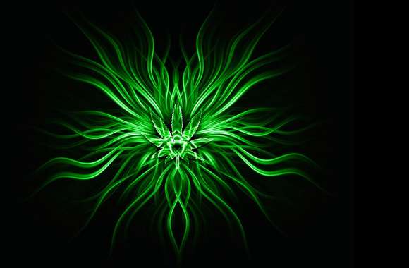 Green Fractal Bloom HD Abstract Wallpaper