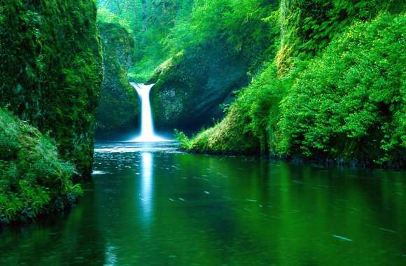 Green Oasis Waterfall