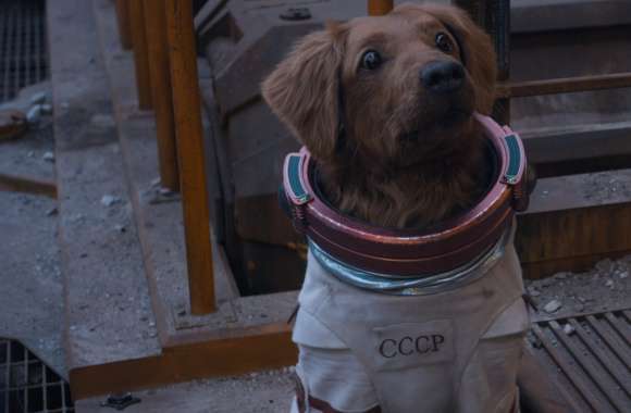 Guardians of the Galaxy 3 Cosmo the Space Dog wallpapers hd quality