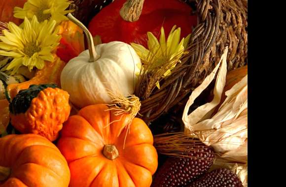 Harvest Bounty Squash & Pumpkin