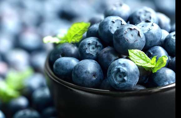 HD Blueberry Berrylicious Wallpaper