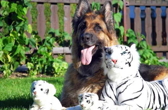 HD Wallpaper of a German Shepherd with Adorable Stuffed Animal Friends