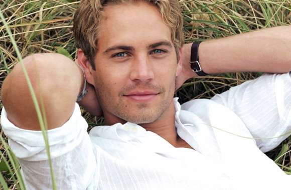 HD Wallpaper of Actor Paul Walker in a Natural Setting