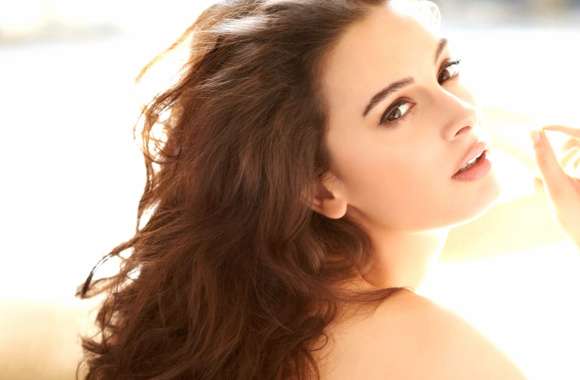 HD Wallpaper of Celebrity Evelyn Sharma