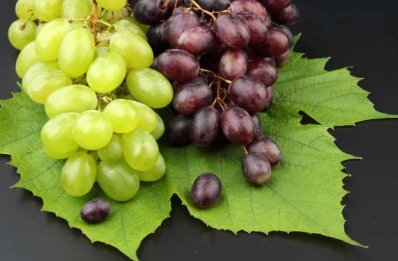 HD Wallpaper of Fresh Grapes A Colorful Delight wallpapers hd quality