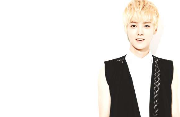 HD Wallpaper of Luhan from EXO - Iconic Music Star