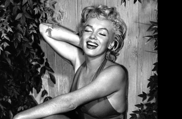 HD Wallpaper of the Iconic Marilyn Monroe