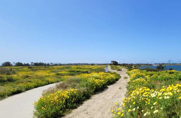 Hiking in Greater San Diego County – Landscape Photography