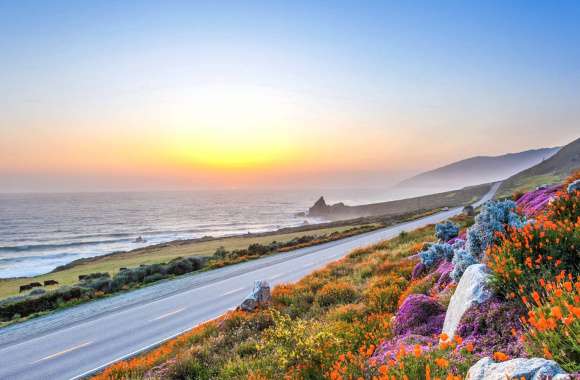 Horizon Flower Big Sur California Coast Man Made Road