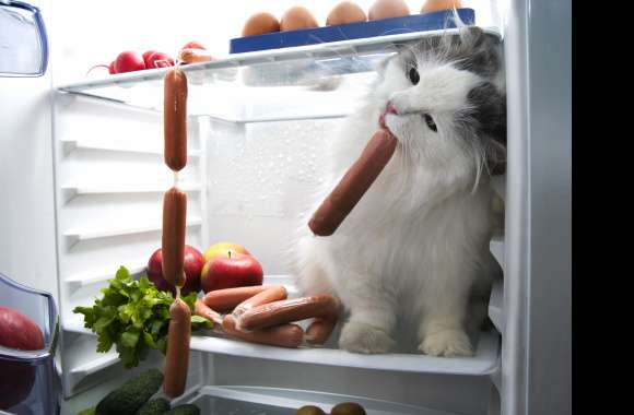 Humor Fridge Sausage Animal Cat