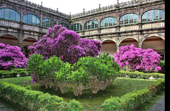 Jardín Santiago de Compostela wallpapers hd quality