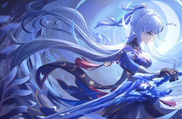 Jingliu (Honkai Star Rail) Video Game Genshin Impact Honkai Star Rail